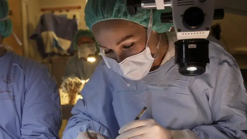 Támogatott kutatócsoportok a Debreceni Egyetemen