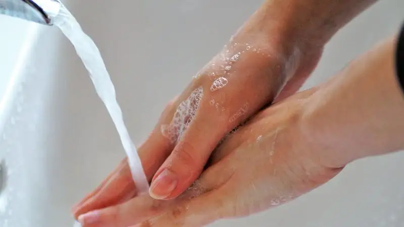 Debrecenben az örökítőanyag koncentrációja emelkedett