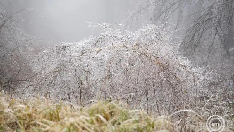 Még mindig csak várunk a hóesésre