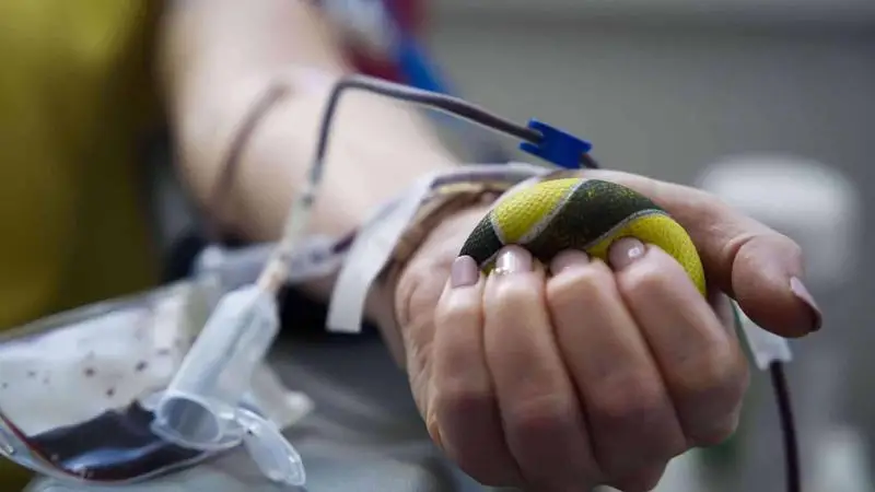 A biztonságos ellátáshoz naponta 1600-1800 véradó szükséges