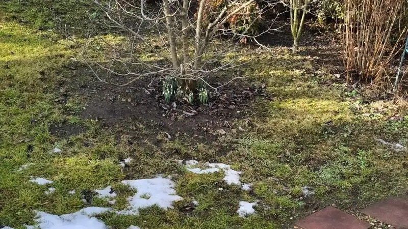 Nem tér vissza egyelőre a zimankós tél