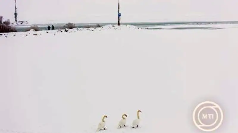 A sűrű köd miatt akár csupán 100 méter a távolság 