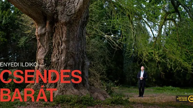 Tarolt a Magyar Filmszemlén a Csendes barát  