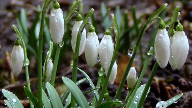 Változékony, az átlagosnál melegebb idő várható a héten is