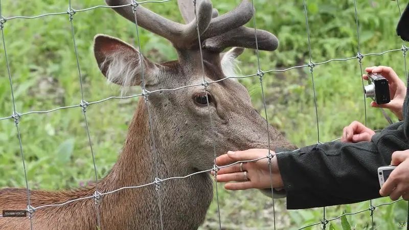 Vadgazdálkodási képzés határok nélkül – egyhetes program Debrecenben