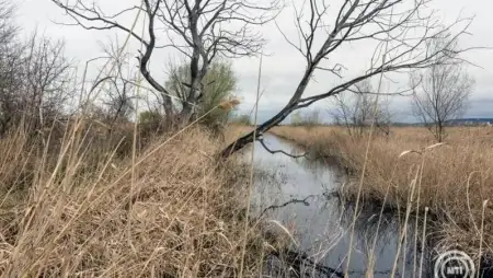 Az élővilág védelme mellett a tájrehabilitáció is előtérbe kerül