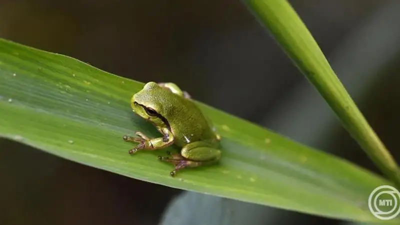 Vízóraaknák, pincék fogságába kerülhetnek 