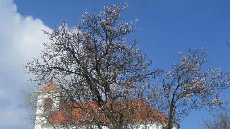 Csípős hajnalok, lágy meleg napközben