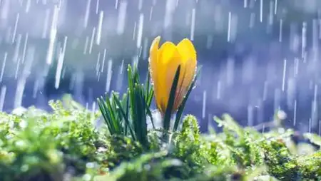 Péntek estig a Dunántúlon akár másfél havi csapadék is eshet