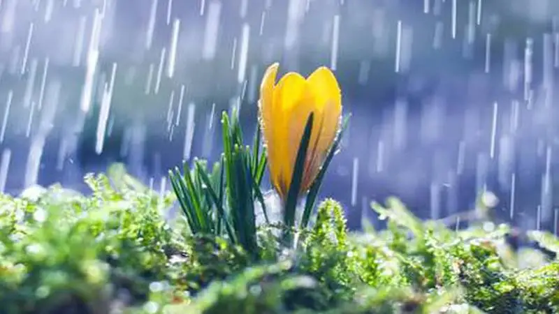 Péntek estig a Dunántúlon akár másfél havi csapadék is eshet