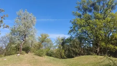 Hidegfronttal indul a hét: fagyok és lehűlés után újra jön a tavaszi meleg