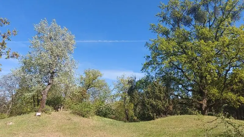 Hidegfronttal indul a hét: fagyok és lehűlés után újra jön a tavaszi meleg