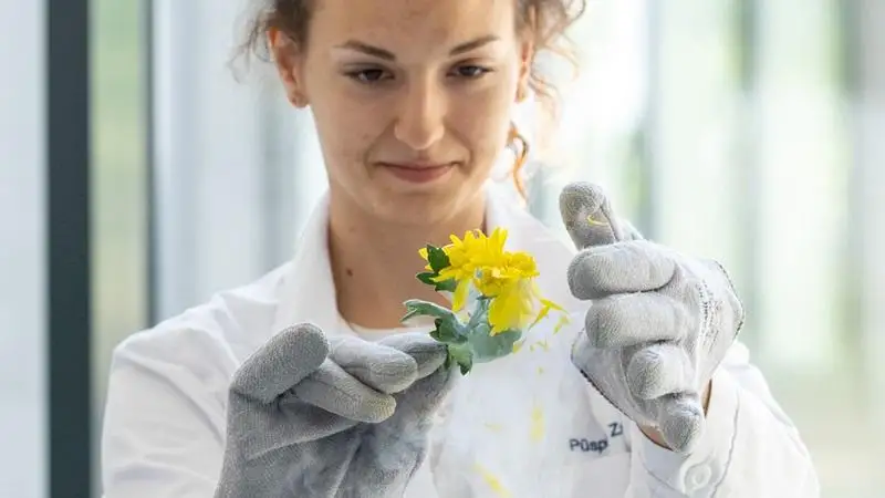 Elefántfogkrém és folyékony nitrogén: különleges bemutató a DE Gyógyszerésztudományi Karán