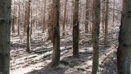 A debreceni ATOMI kutatói az okokat vizsgálták