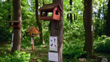 Tíz éves az ország első egyetemi madárbarát mintakertje