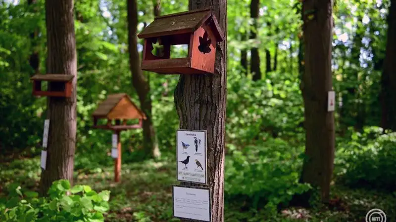 Tíz éves az ország első egyetemi madárbarát mintakertje