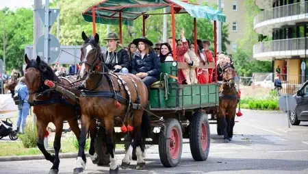 Hat évtizedes hagyomány – a Debreceni Egyetem Sárgulásának története