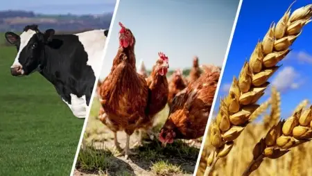 Rendelet sorolja fel a mezőgazdasági termékek  listáját