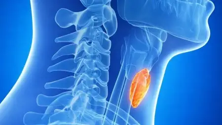 Video‑asszisztált pajzsmirigyműtétek Debrecenben – minimális heg, gyors felépülés