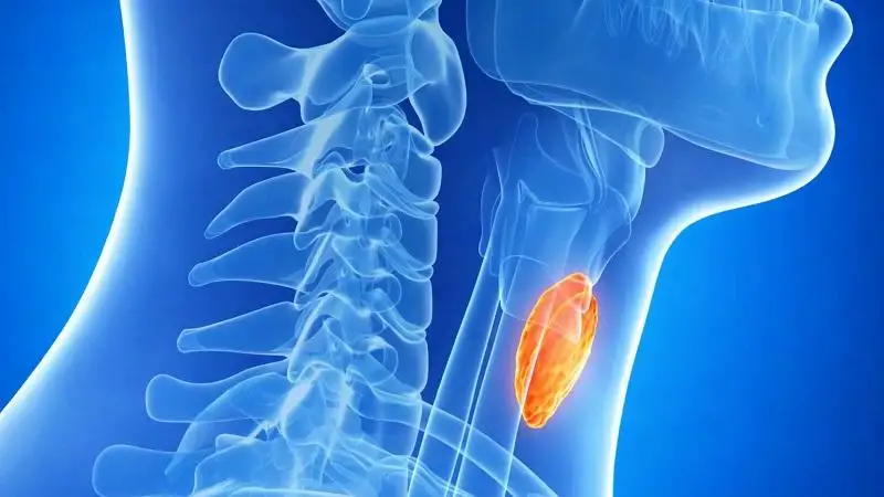 Video‑asszisztált pajzsmirigyműtétek Debrecenben – minimális heg, gyors felépülés