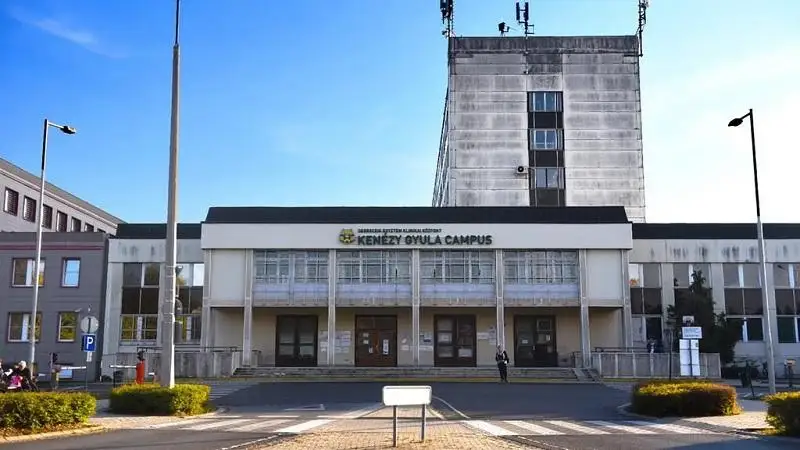 Folyamatosan javulnak a debreceni kórházban ápolt lengyel buszbaleset‑sérültek