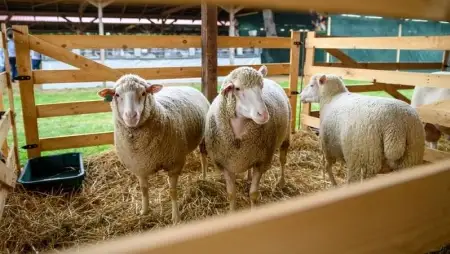 20 ezer látogatót várnak a jubileumi Farmer Expóra