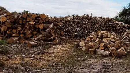 A fűtési időszaktól 5 milliárd forintról 10 milliárdra emelik a pályázat pénzeit 