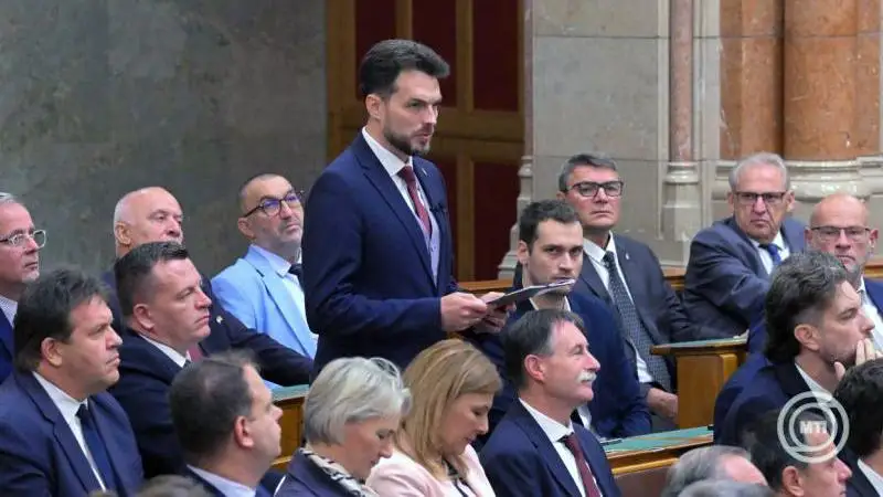 Önmaga is kérte a döntést, mert mint mondta, minden tettéért vállalja a felelősséget