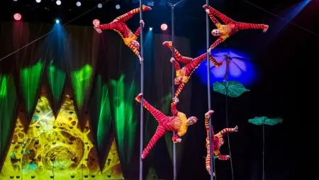 A Cirque du Soleil az OVO című előadás megújult változatával jön újra Budapestre