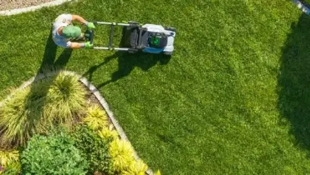 A szép gyep titka: fűmagasság, öntözés, rovarvédelem, tápanyagok