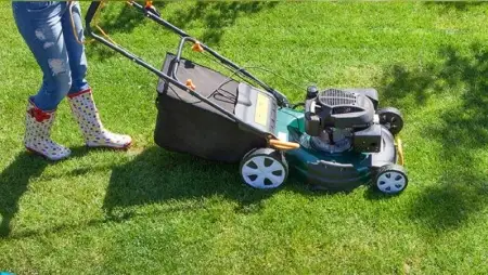 Gyepápolás profi módon – szellőztetés, gombairtás és gyommentesítés