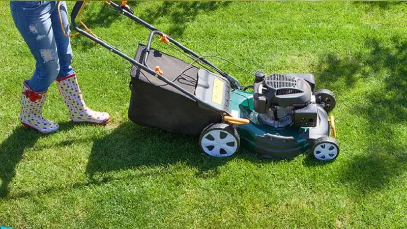 Gyepápolás profi módon – szellőztetés, gombairtás és gyommentesítés
