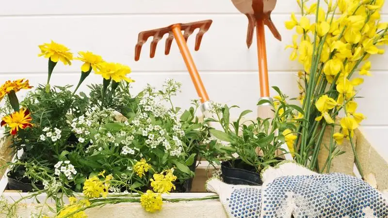 Októberi kerti teendők